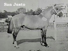 Padrillos Criollos San Justo y Don Justo